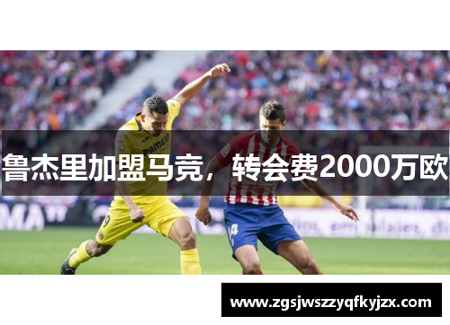 鲁杰里加盟马竞，转会费2000万欧