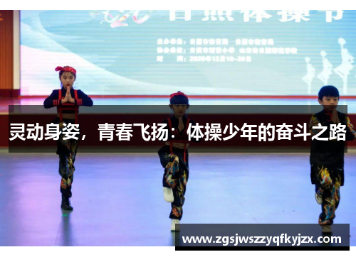 灵动身姿，青春飞扬：体操少年的奋斗之路