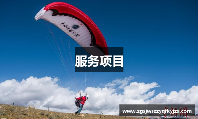 服务项目